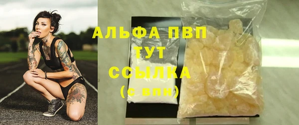 сатива Лихославль
