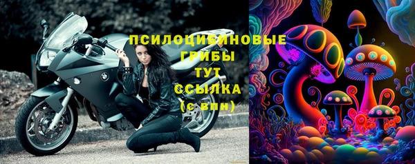 сатива Лихославль