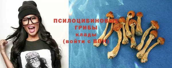 прущая мука Лиски